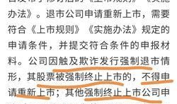 最新小作文爆料股票,股票市场风云再起