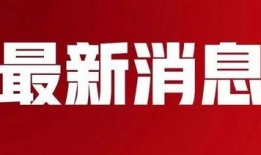 晨光最新爆料消息新闻,揭秘行业黑幕，独家新闻深度解析