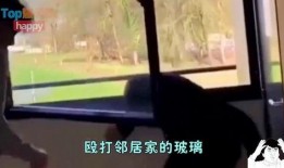 看玻璃在线观看,看玻璃在线观看之旅